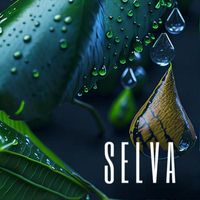 Selva - Paxamanic
