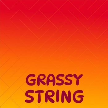 Various Artists - Grassy String