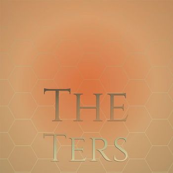 Various Artists - The Ters
