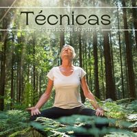 Alma - Técnicas de Reducción de Estrés: 1 Hora de Música Relajante para Meditación, Ejercicios de Qigong Yoga y Meditación Profunda