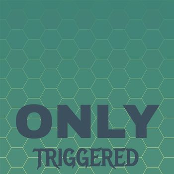 Various Artists - Only Triggered