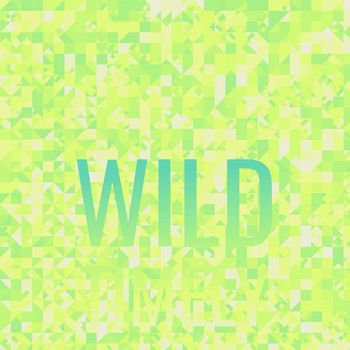 Various Artists - Wild Timely