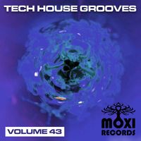 Various Artists - Tech House Grooves, Vol. 43