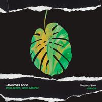 Hangover Boss - Two Beers, One Sample