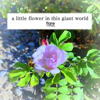 flareinthesky! - a little flower in this giant world.