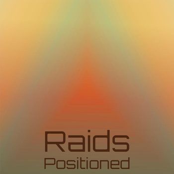 Various Artists - Raids Positioned