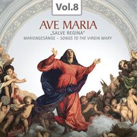 Augsburger Domsingknaben - Ave Maria, Vol. 8