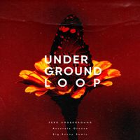 Serg Underground - Accurate Groove