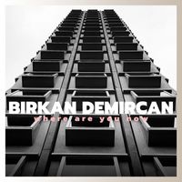 Birkan Demircan - Where Are You Now