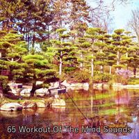 Yoga Sounds - 65 Workout Of The Mind Sounds