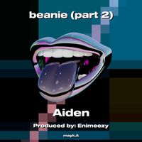 Aiden - beanie (part 2) (Explicit)