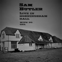 Sam Butler - Snake On The Road (Live at Horningsham Hall)