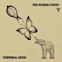 The Buddha Pests - Temporal Abyss (Acoustic)