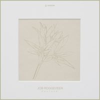 Job Roggeveen - Daslook