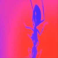 Laura Palmer - Ants (Think We're Aliens Too)