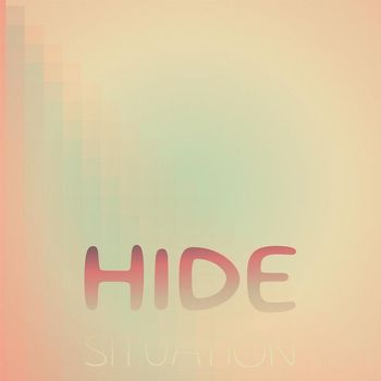 Various Artists - Hide Situation