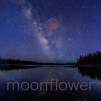 Moonflower - Sapphire Night