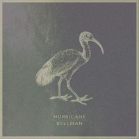 Bellman - Hurricane