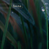 Fauna - teton (nature)