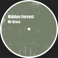 Mr Brico - Hidden Forrest