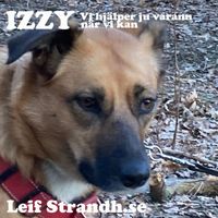 Leif Strandh - IZZY - Vi hjälper ju varann, när vi kan