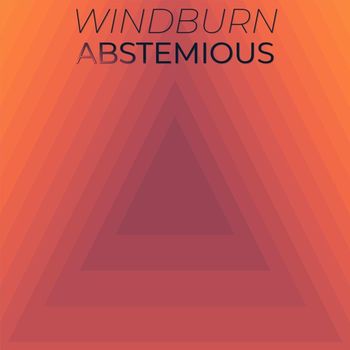 Various Artists - Windburn Abstemious