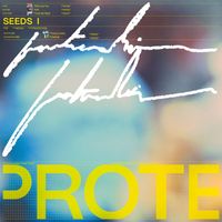 Protection - SEEDS I