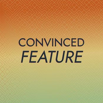 Various Artists - Convinced Feature
