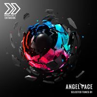 Angel Ace - Selected Tunes 01