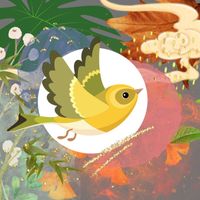 Stevan story - Suara Burung Kolibri Kelapa Jantan