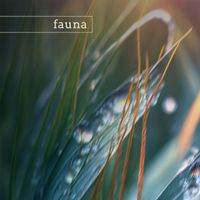 Fauna - great sand dunes (nature)