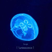 Lauge - Luminescence