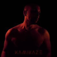 Danniel - Kamikaze