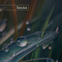 Fauna - isle royale (nature)