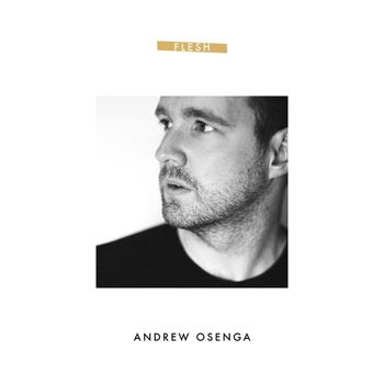 Andrew Osenga - Flesh EP