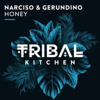 Narciso & Gerundino - Honey (Extended Mix)