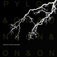 Pylon&on&on - Shed No Tears Over Mine