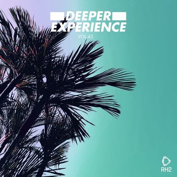 Various Artists - Deeper Experience, Vol. 43 (Explicit)