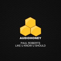 Paul Roberts - Like U Know U Should
