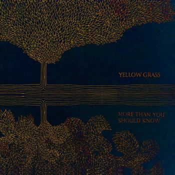 Yellow Grass - More Than You Should Know