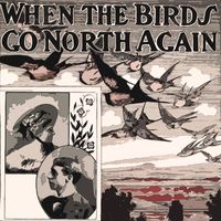 Percy Faith - When The Birds Go North again