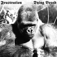 Frustration - Dying Breed
