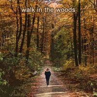 Bo Diddley - Walk in the Woods