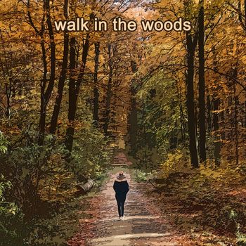 The Shadows - Walk in the Woods