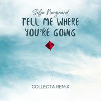 Silje Nergaard - Tell Me Where You're Going (Collecta Remix)