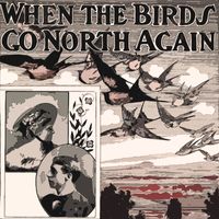 Elvis Presley - When The Birds Go North again