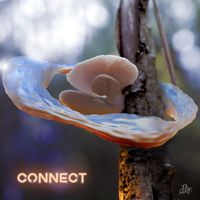 Planet Boelex - Connect