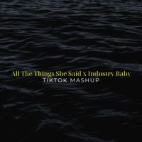 t.A.T.u. - All The Things She Said x Industry Baby (TikTok Mashup)