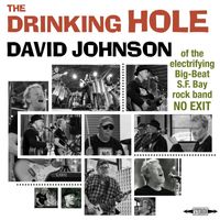 David Johnson - The Drinking Hole