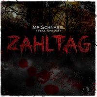 Mr. Schnabel - Zahltag (Single)